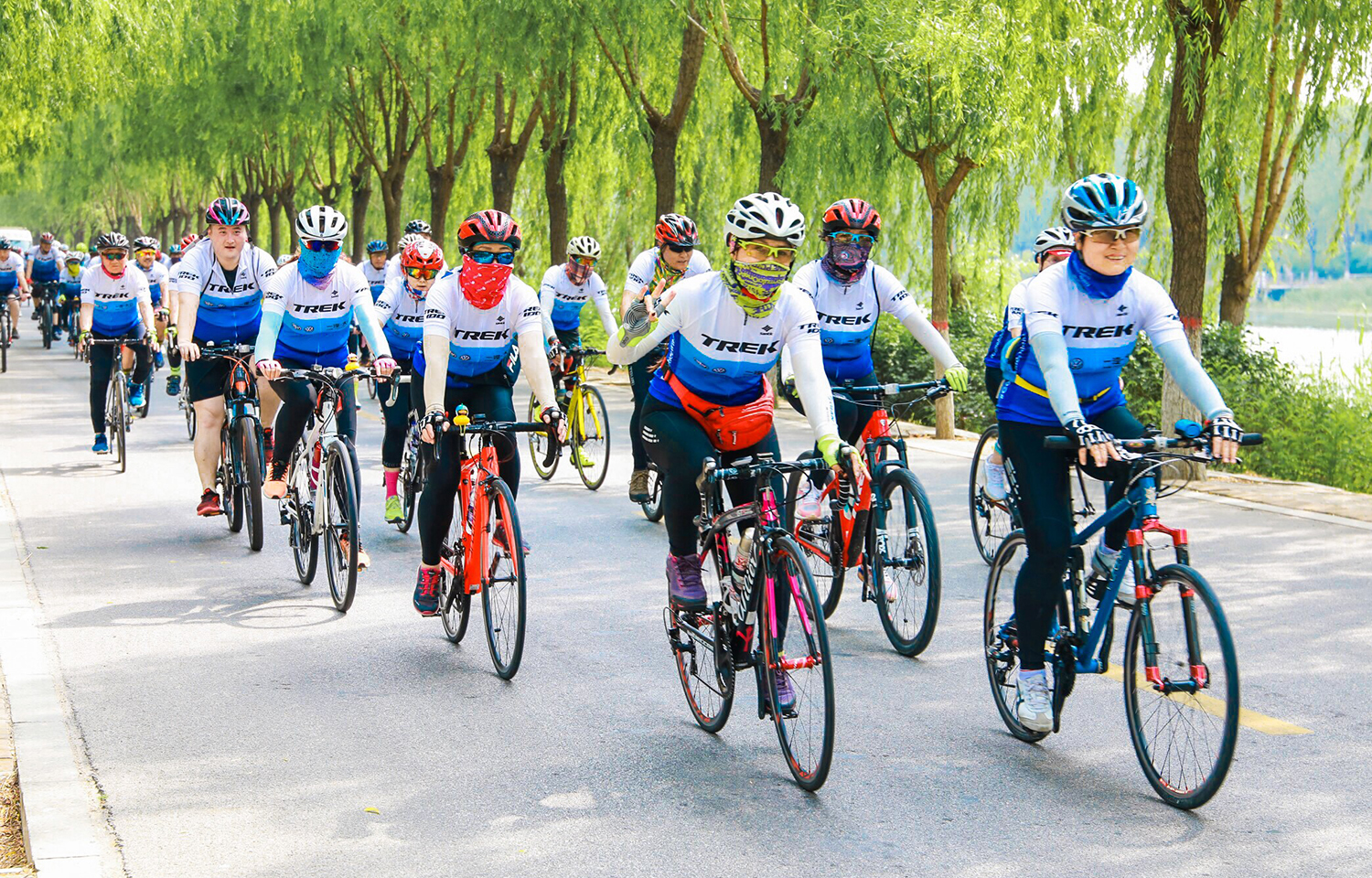 �����з�˳�  ��������ɽ�� 2019 TREK 100��ɽ����������ս������