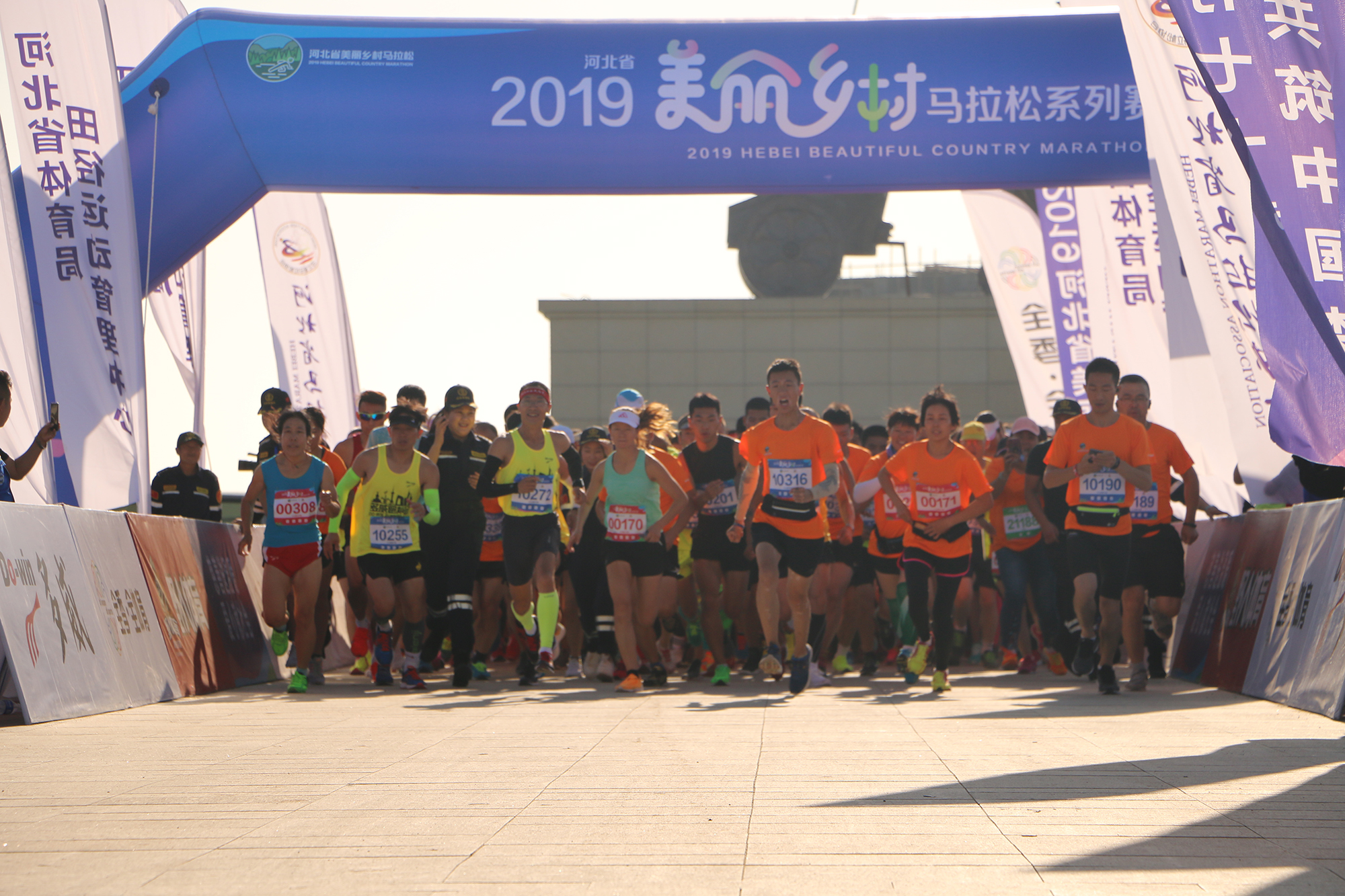 2019�ӱ�ʡ�������������ϵ�����ű�վ���ѿ���