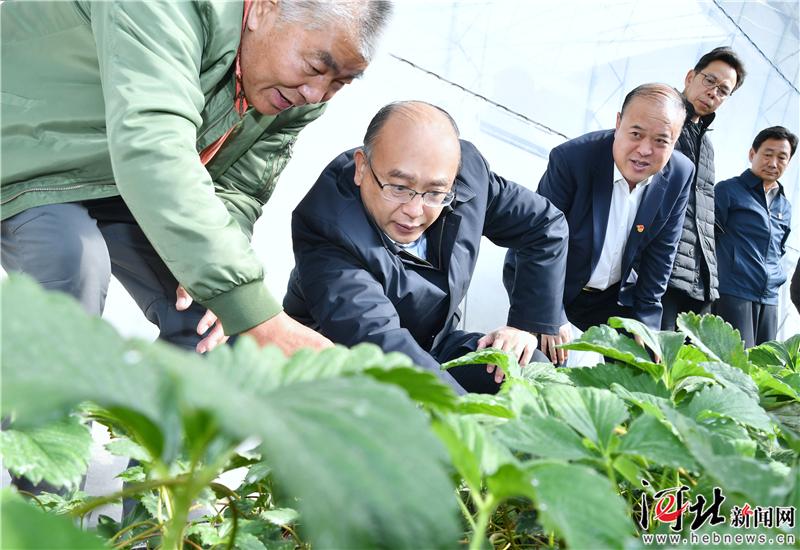 �������żҿڵ��м�� ��ս��ƶ���� �������³�� �����׶���������