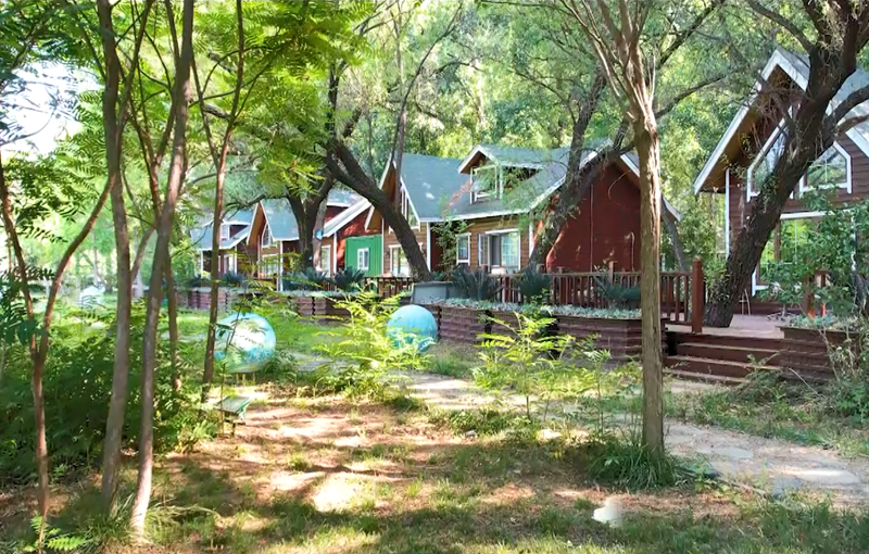 ���ֳ��������򿨡��˶�������·�ƽ顪���ȷ�վ