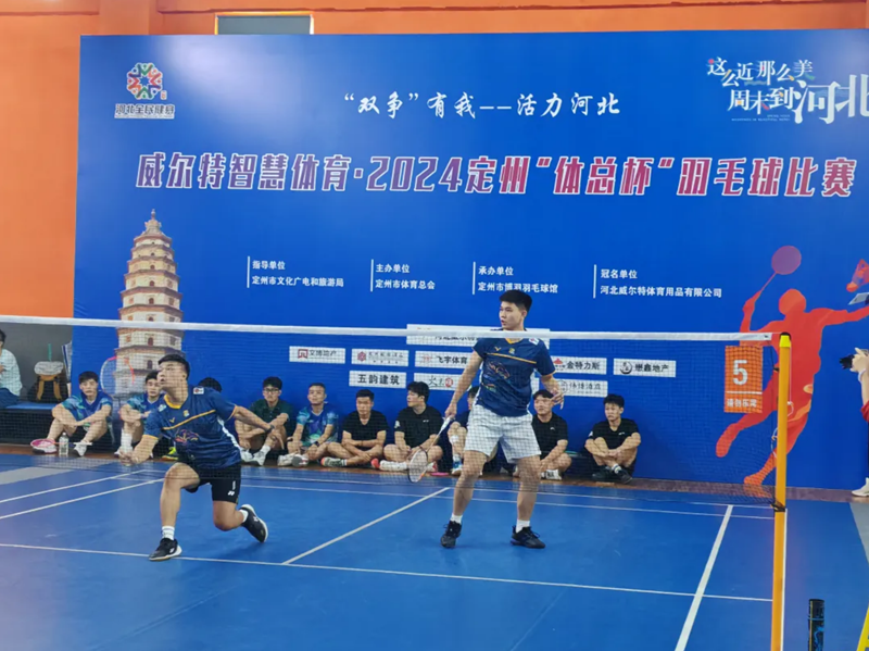 2024 ���ݡ����ܱ�����ë���������