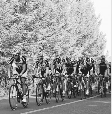 2014������ְҵ��·���г������żҿڿ���