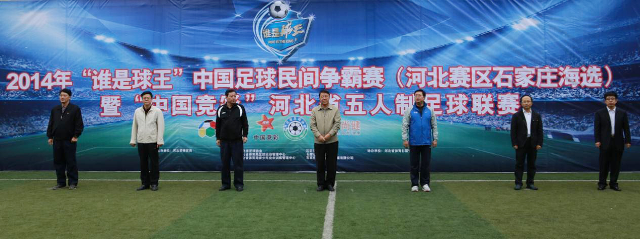 �ӱ�����2014�ꡰ˭���������й����������������ѡ