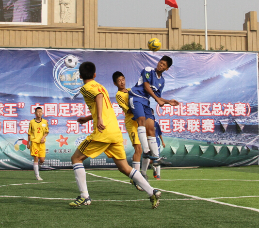 2014�ꡰ˭���������й���������������ӱ������ھ�����