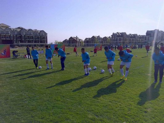 2017�꾩�������������������������ʡ����������������չ