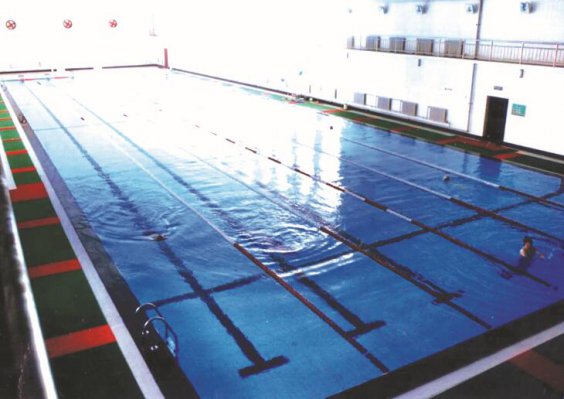 ������������Ԫ��������������������