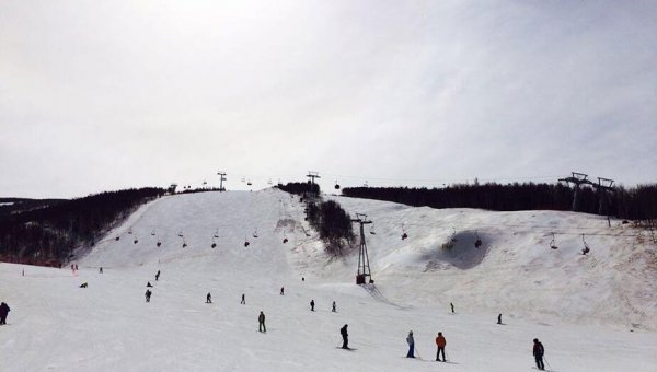 ����������ѩ��