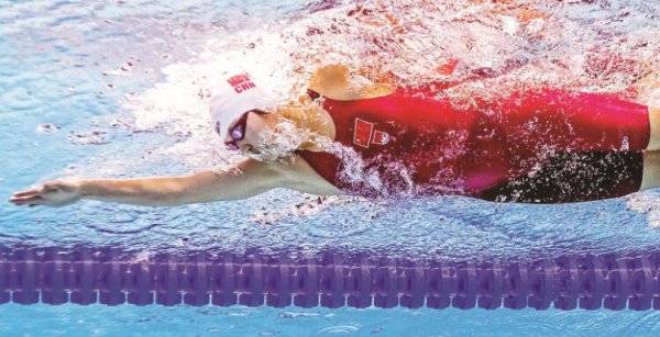 <b>���������չ����</b>