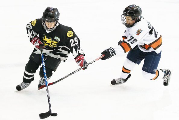 ��ʡ�����ƽ�������������չ