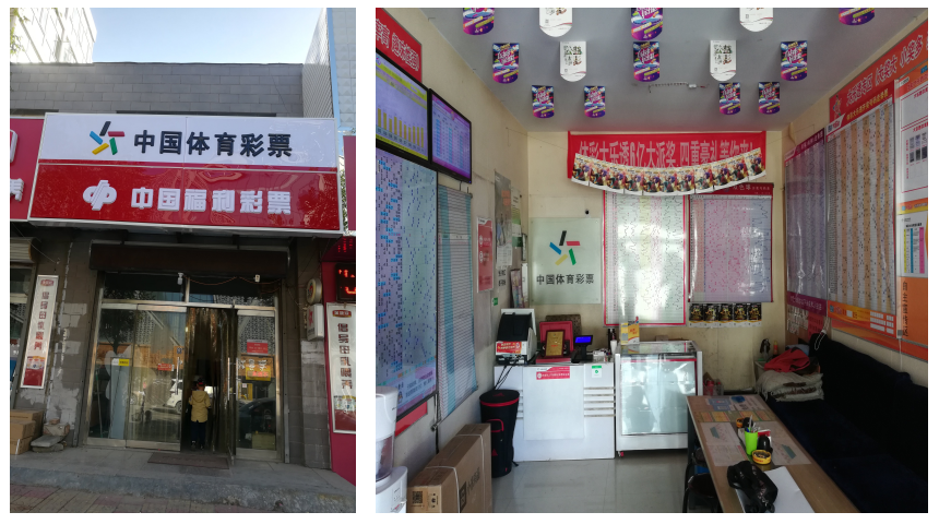 ȼ�鶬��  �����顪�������ƽ���ѩ�˶���չ �ӱ��������������������