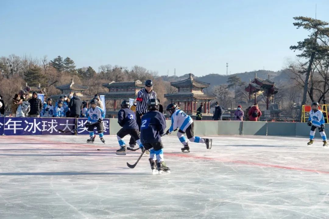 ���������չ���� ����С���׼�ӭ�� 2023�꾩������������������