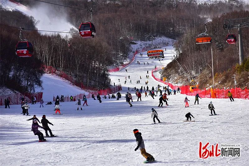 �żҿڳ������������º������ʵʵ���ڻ�øС�