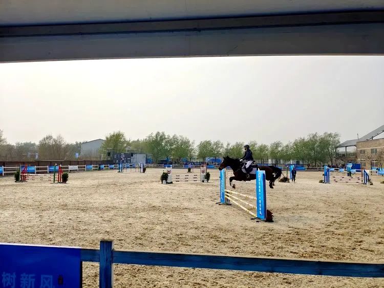 �ӱ�ʡ��ʮ�����˶�����������Բ������