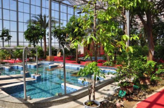 ���ֳ��������򿨡����㿪����������֮��