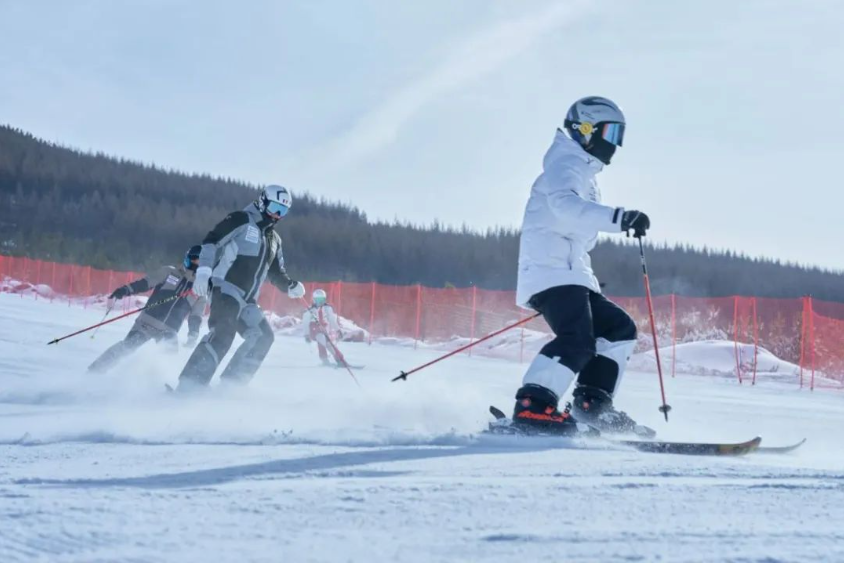 �żҿ��мӿ��ƶ����³��ݿɳ����������� ���������ο��߽����³���