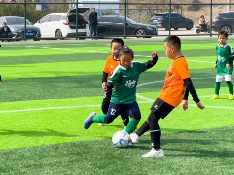 2024���۰�֮�⡱���������������������۰�����뵺¡�ؿ�Ļ