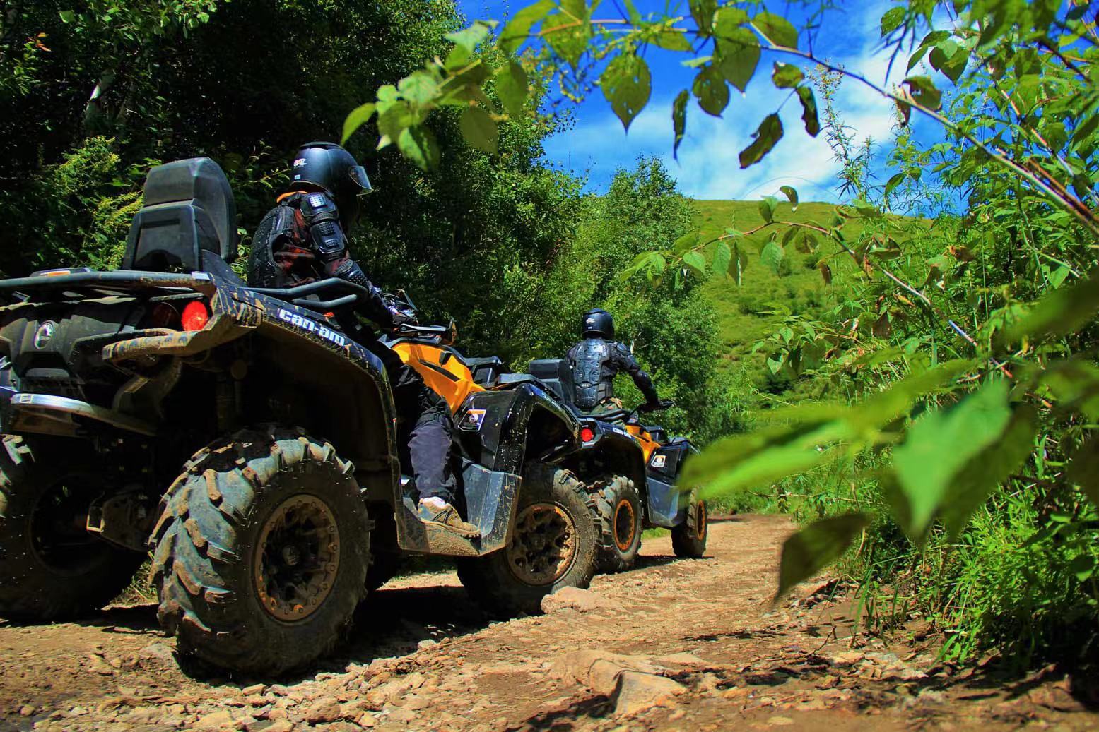 �ᴩȫ�꣬�ḻ��ʣ��ӱ����������������ںӱ����˶�����֮Լ