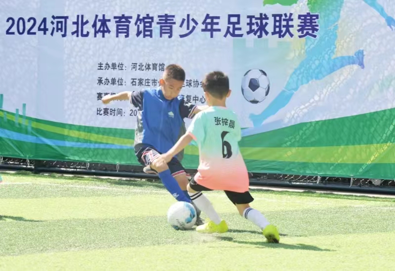 <b>2024�ӱ������������������������鿪��</b>