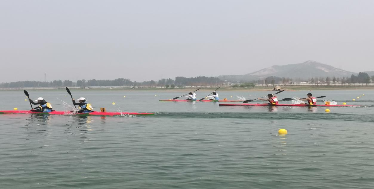 2024��ӱ�ʡ������Ƥ��ͧ��������Ԫ�����������