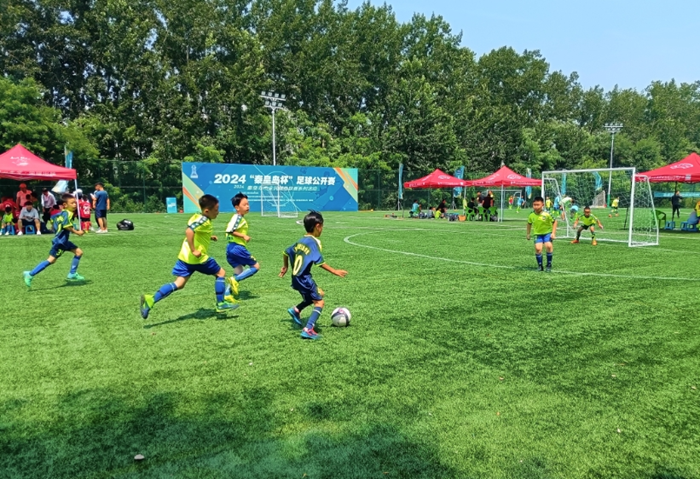 2024���ػʵ��������򹫿���ȼ������