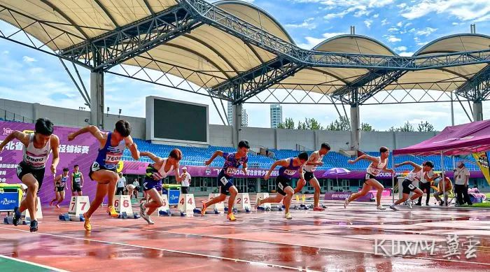 2024�ӱ�ʡ�������ﾶ���������ػʵ�����