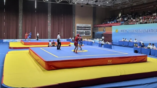 2024��ӱ�ʡ����������ɢ������������飩�ڲ��ݿ���