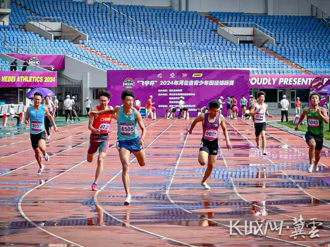 2024�ӱ�ʡ�������ﾶ���������ػʵ�����