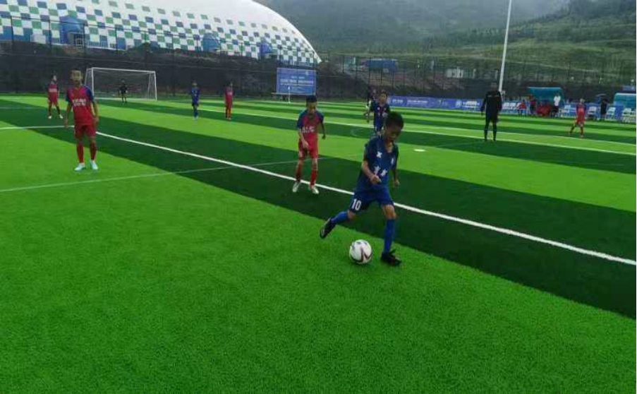 2024 �꾩����������������Բ����Ļ