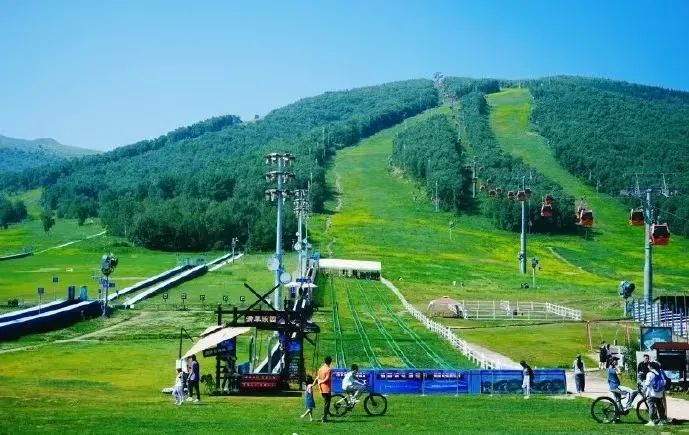 ��������ȥ���� �׽����˻�������¾���