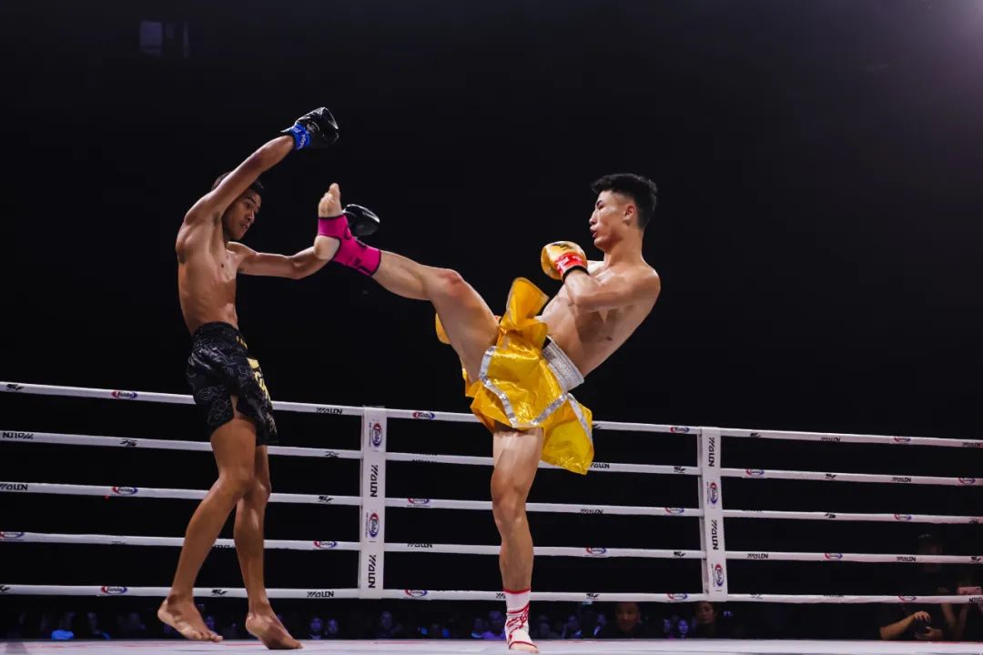 ���ַ�����ھ��۷�ս�����ַ�547�߶�����������ɽ��������������