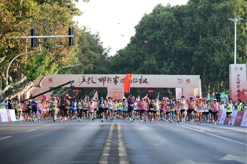 <b>2024������������������ɼ��鿪��</b>