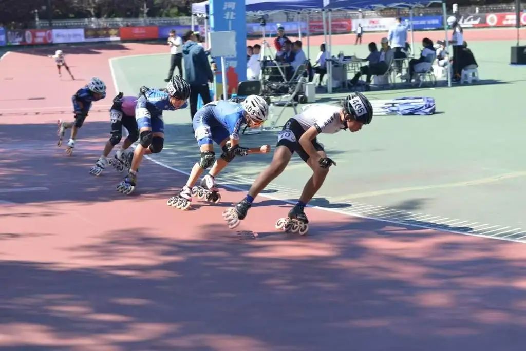 2024��ӱ�ʡ��ѩ�����ֻ���Ŀ�����ܾ�������