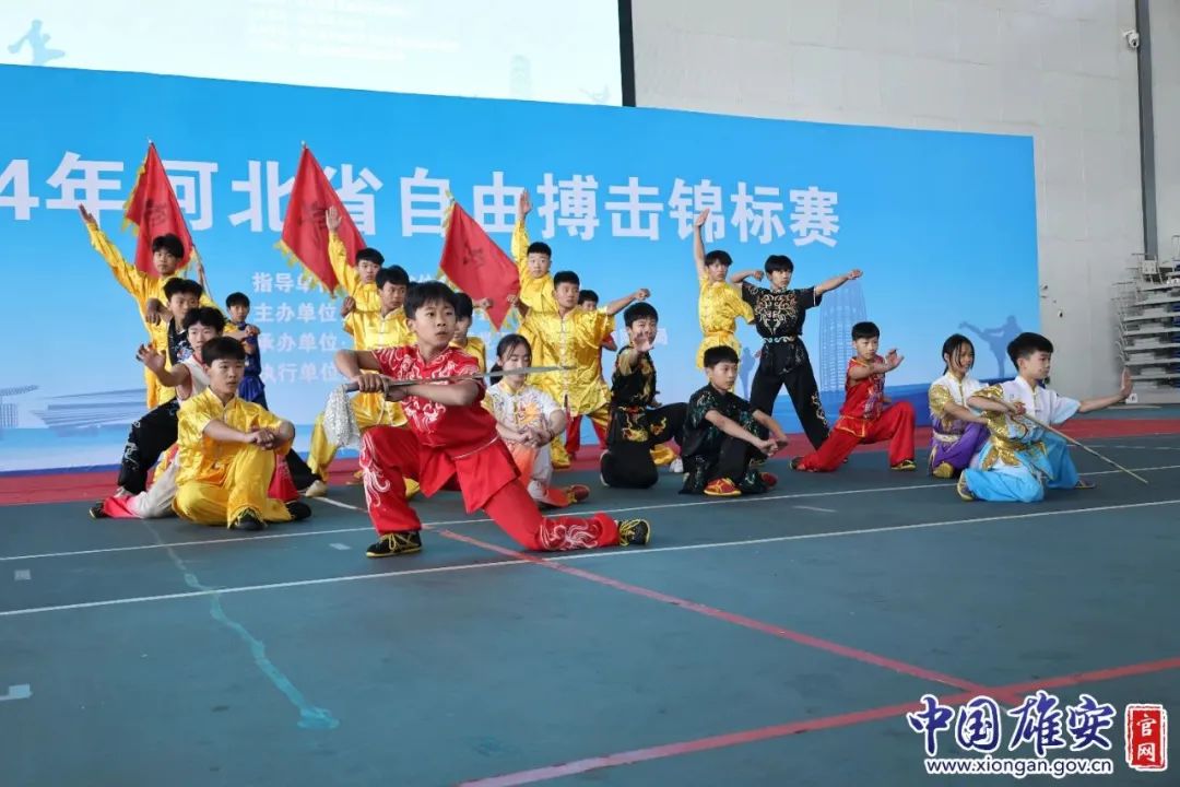 2024��ӱ�ʡ���ɲ���������Բ������