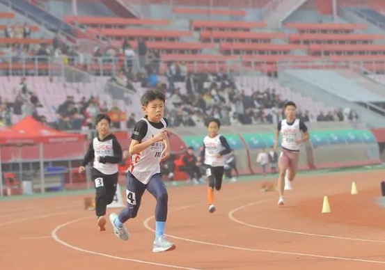 WSE�ﾶ���������ȷ�վ����2024�ȷ����ﾶ����������