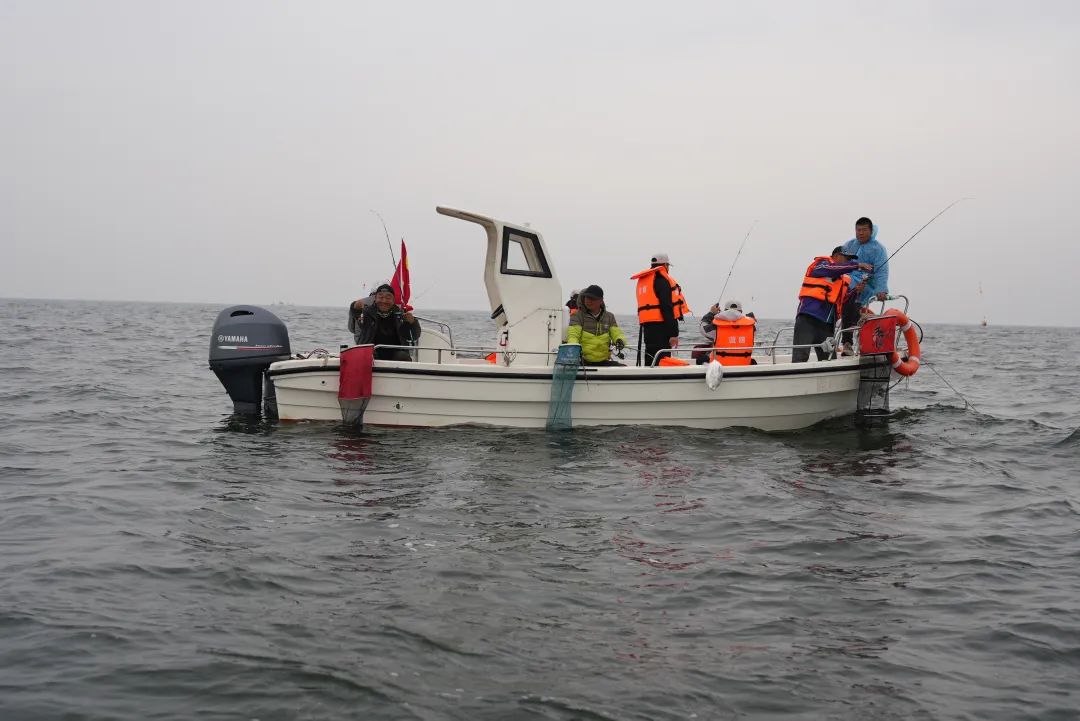 ���¾��ÿ��ӱ� | һ����ɫ�������´���������