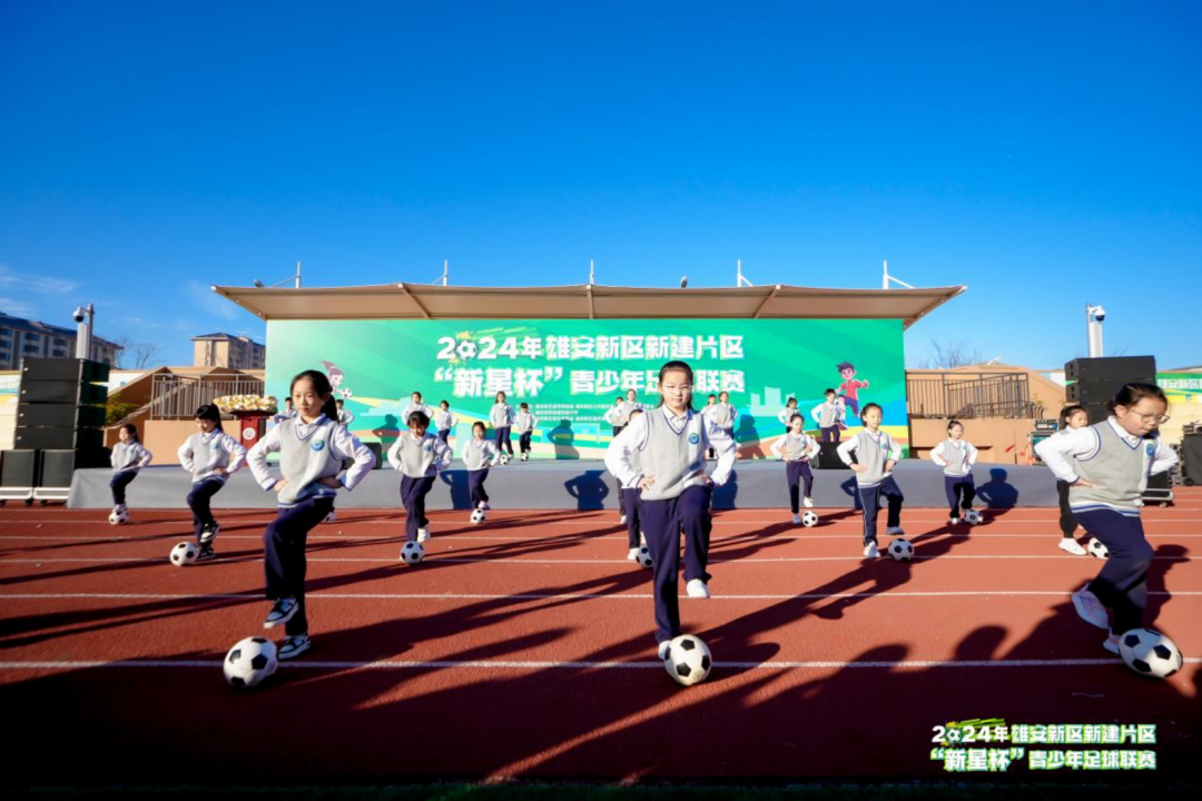 2024���۰������½�Ƭ�������Ǳ��� ��������������ʢ����