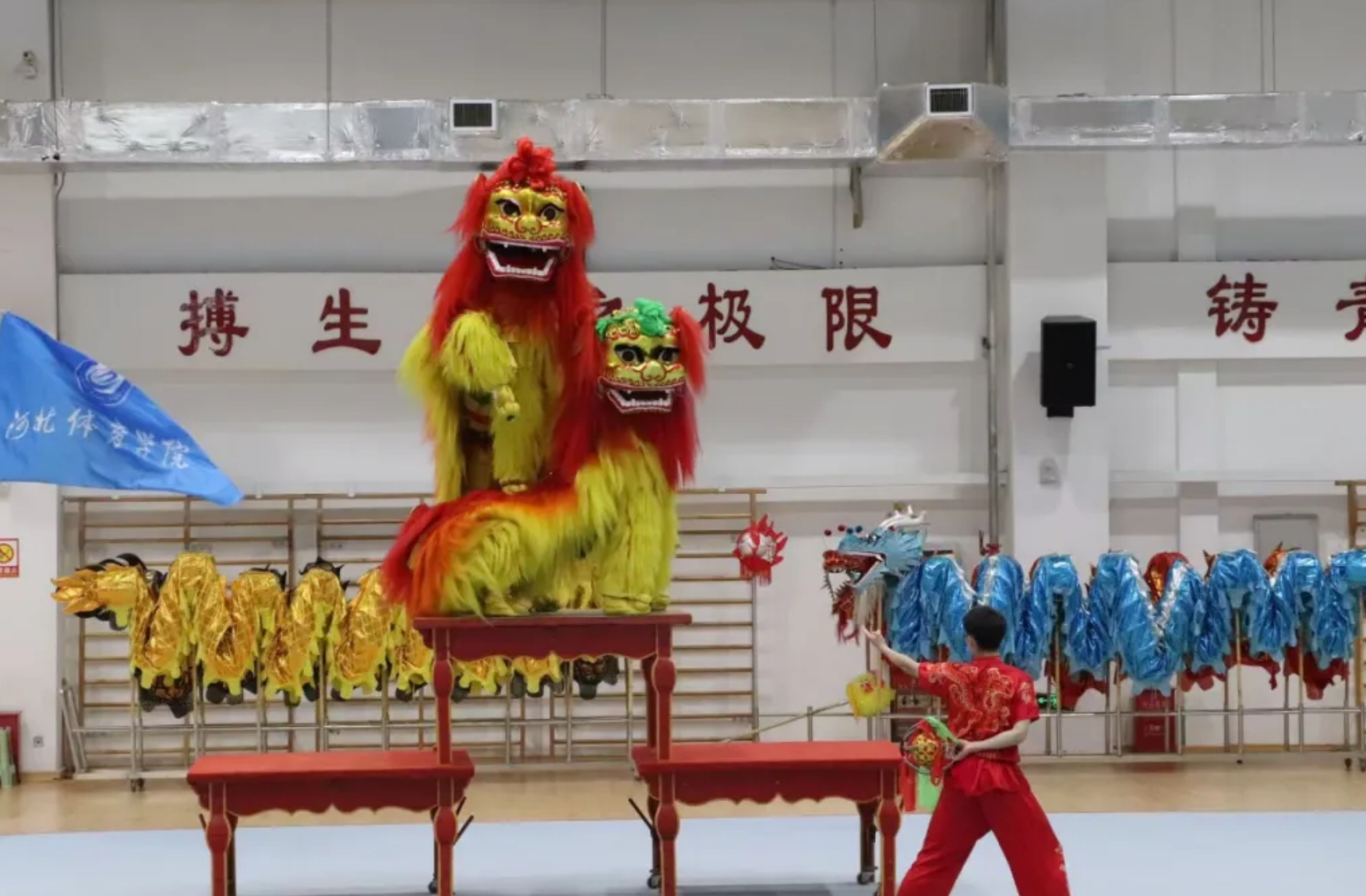 2024��ӱ�ʡȫ��������������ʨ�����ںӱ�����ѧԺ����