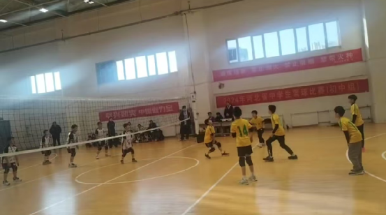 2024����̨�С������������������ͯ��Сѧ�����������������