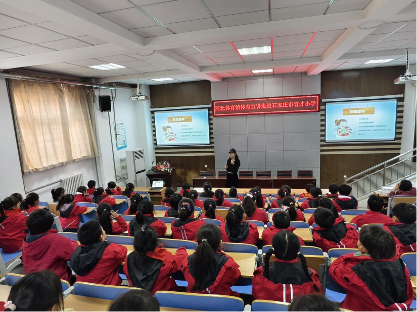 �ӱ������ݡ�����������У԰����߽�����Сѧ