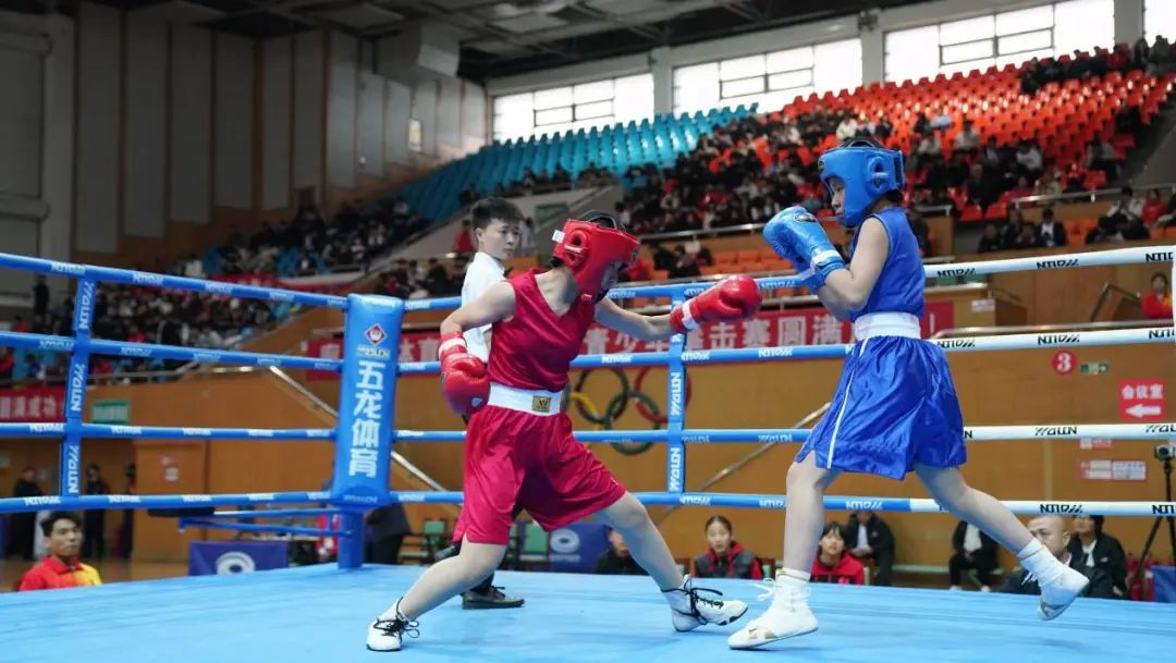 2025��ӱ�ʡ������ȭ�������������飩Ԥ�����ȷ�����