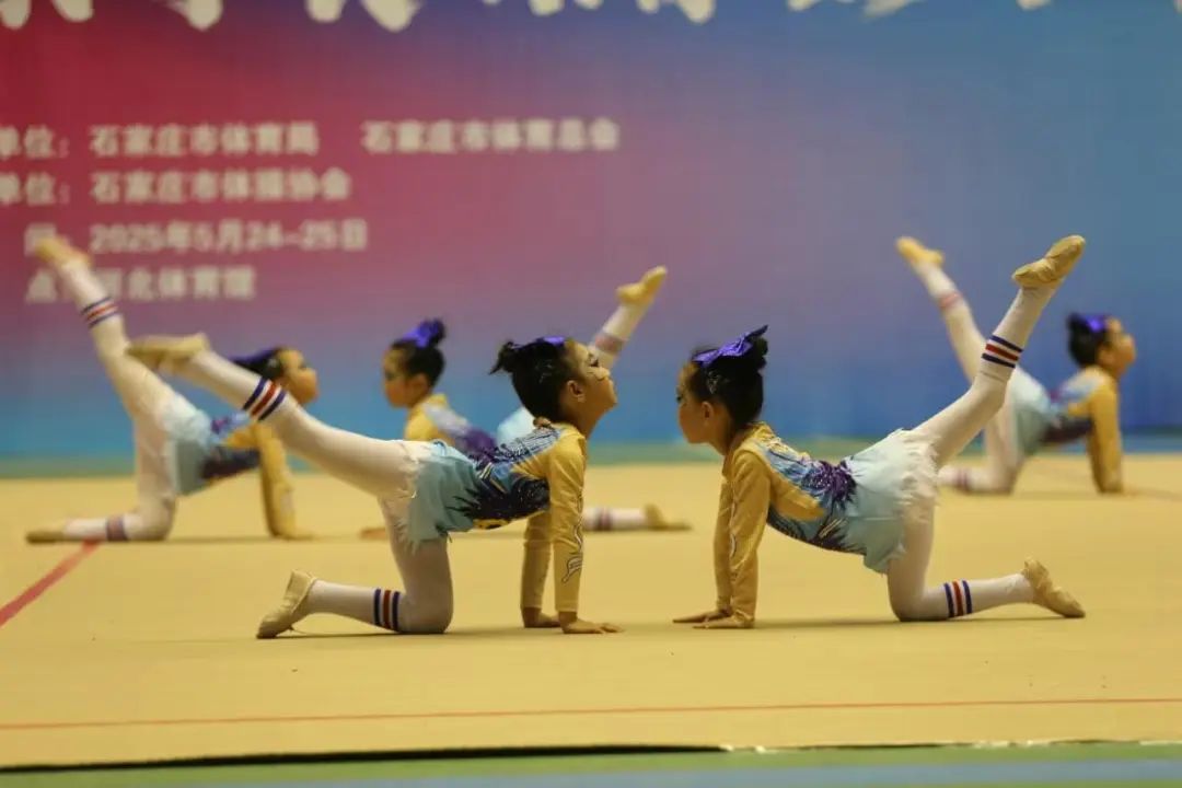 2025�꾩����ټ��껪�ںӱ������ݿ�Ļ