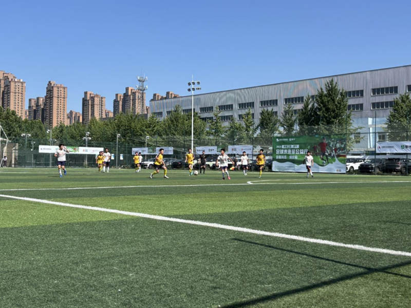 2025ϣ�����̡���ţ����δ���ǹ����У�����վ��ѡ��������